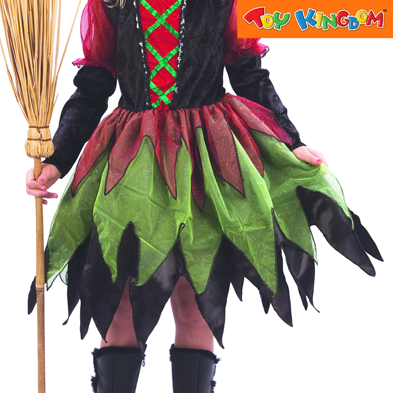 Lucida Witch Fairy Costume