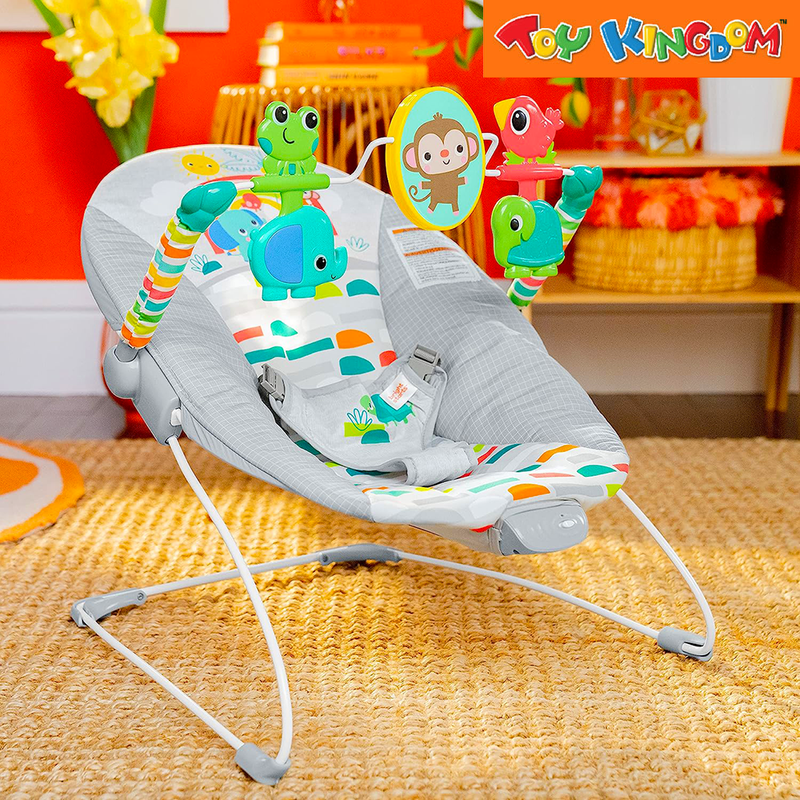 Kids II Playful Paradise Vibrating Bouncer Playset