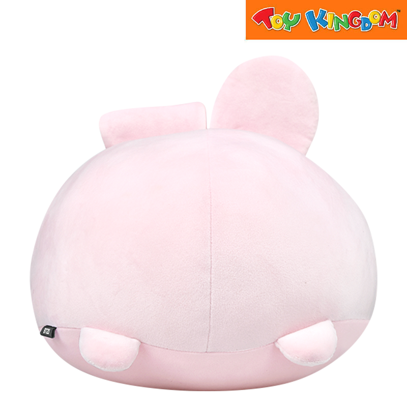 BT21 Nap Pillow Cooky Plush