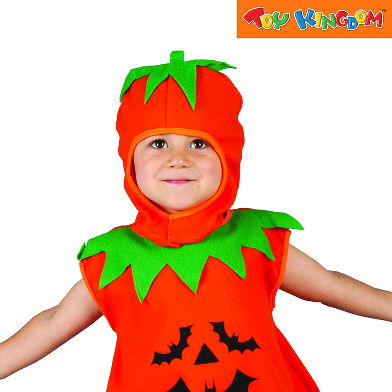 Lucida Pumpkin Small Costume