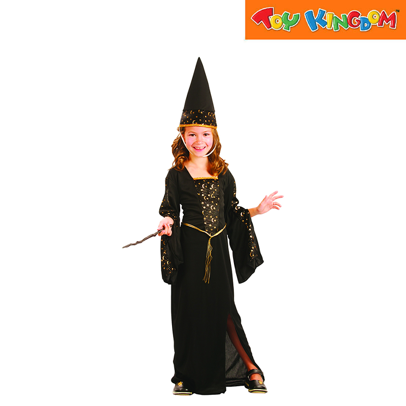 Lucida Wizardess Large Costume