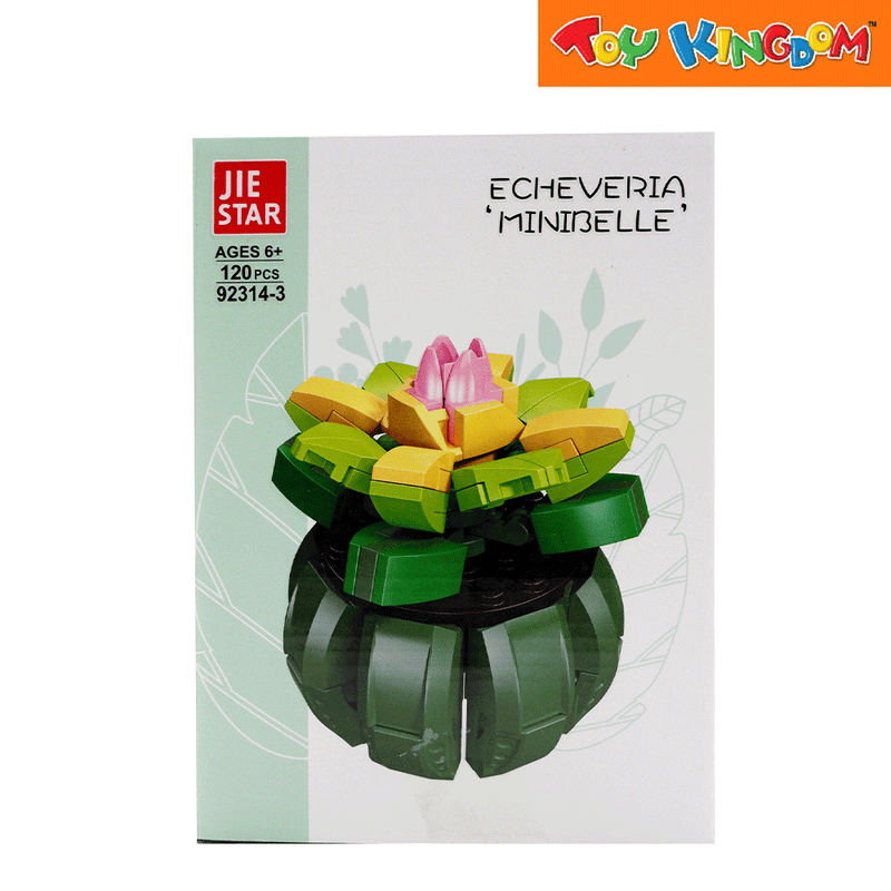 Jie Star Blocks Plants Echeveria Minibelle 123 pcs Building Blocks